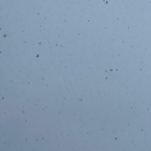 Meet your Posher, Monika